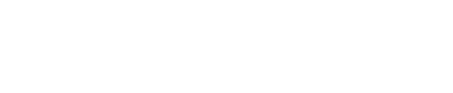 Visonur